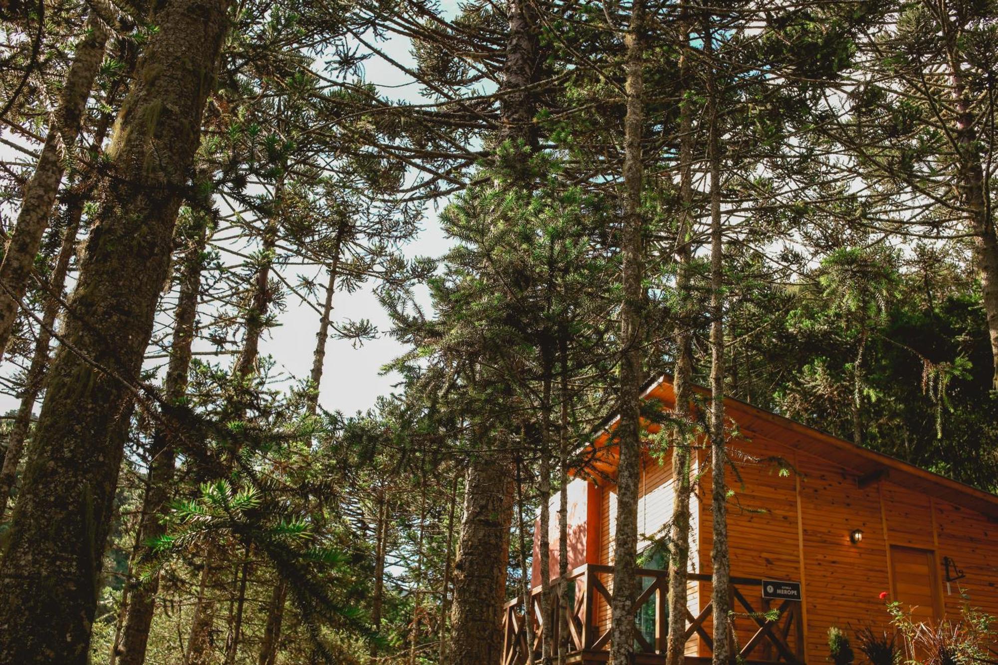 Cascata dos Amores Urubici Exterior foto